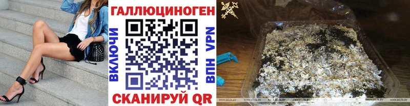 маркетплейс формула  ОМГ ОМГ   Кувшиново  Псилоцибиновые грибы Cubensis 