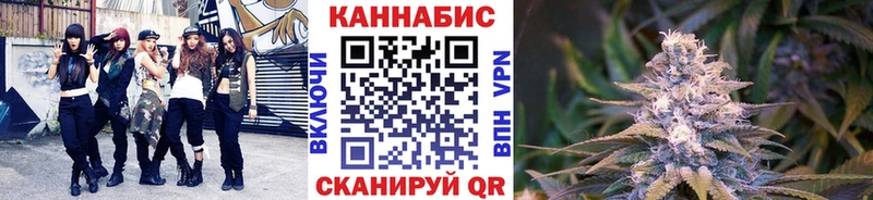 Бошки Шишки SATIVA & INDICA  как найти наркотики  Кувшиново 